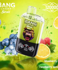Bang Leader Stoll 120K 120000 Puffs Double Taste&Anti-Leak Design LED Display Disposable Vape in Blueberry Ice & Raspberry Lemon flavor