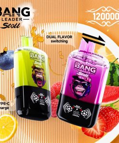 Bang Leader Stoll 120K 120000 Puffs Double Taste&Anti-Leak Design LED Display Disposable Vape product image