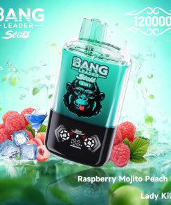 Bang Leader Stoll 120K 120000 Puffs Double Taste&Anti-Leak Design LED Display Disposable Vape in Raspberry Mojito Peach Ice & Lady Killer flavor
