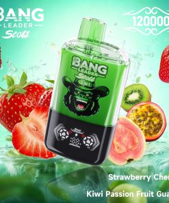 Bang Leader Stoll 120K 120000 Puffs Double Taste&Anti-Leak Design LED Display Disposable Vape in Strawberry Cherry & Kiwi Passion Fruit Guava flavor