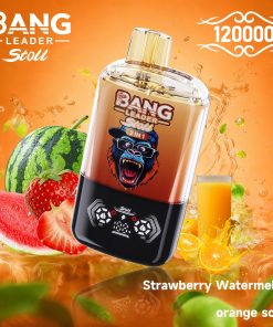 Bang Leader Stoll 120K 120000 Puffs Double Taste&Anti-Leak Design LED Display Disposable Vape in Strawberry Watermelon & Orange Soda flavor