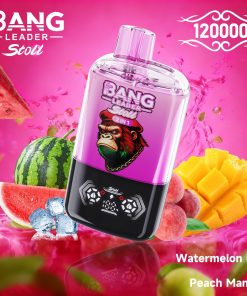 Bang Leader Stoll 120K 120000 Puffs Double Taste&Anti-Leak Design LED Display Disposable Vape in Watermelon Ice & Peach Mango flavor