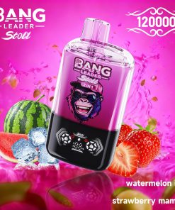 Bang Leader Stoll 120K 120000 Puffs Double Taste&Anti-Leak Design LED Display Disposable Vape in Watermelon Ice & Starwberry Mamba flavor