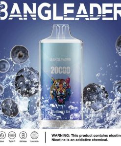 Bang Leader 20000 20K Puffs Product Disposable Vape in Blueberry Ice flavor