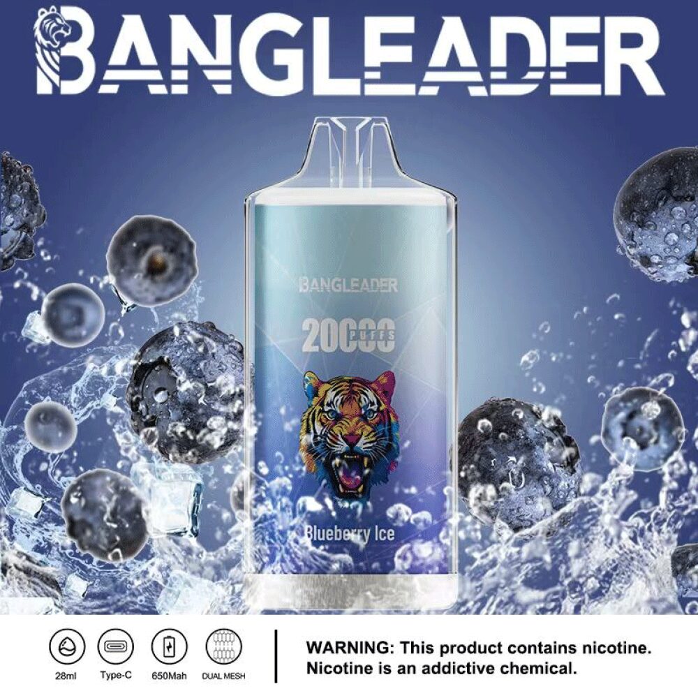 Bang Leader 20000 20K Puffs Product Disposable Vape in Blueberry Ice flavor
