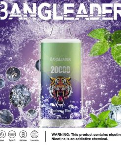 Bang Leader 20000 20K Puffs Product Disposable Vape in Blueberry Mint flavor