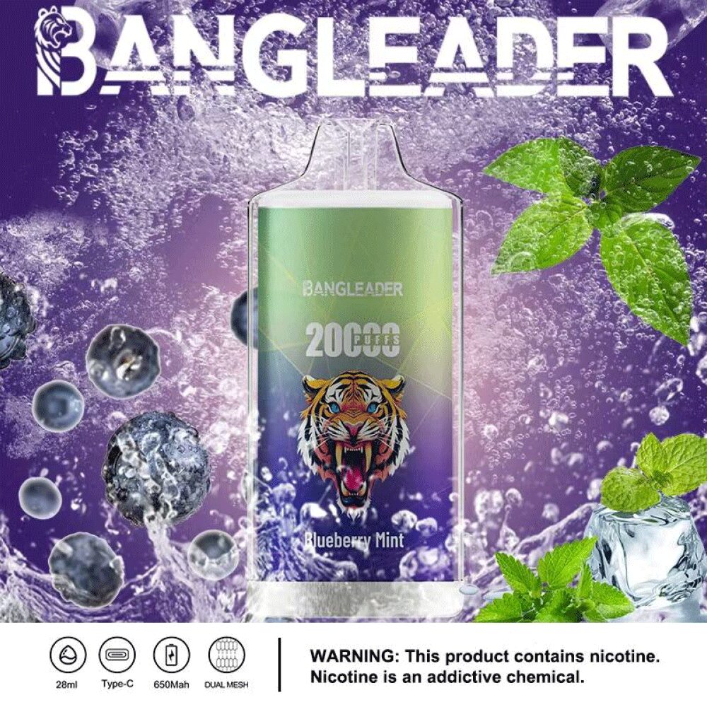 Bang Leader 20000 20K Puffs Product Disposable Vape in Blueberry Mint flavor