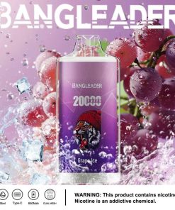Bang Leader 20000 20K Puffs Product Disposable Vape in Grape Ice flavor