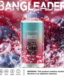 Bang Leader 20000 20K Puffs Product Disposable Vape in Random Mix flavor