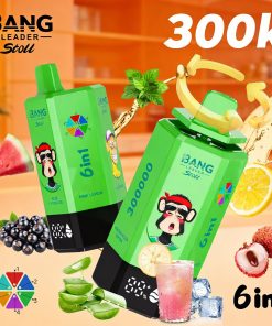 Bang Leader 300K 300000 Puffs 6 in 1 Flavors & 6 oil tanks Rechargeable LCD Display Disposable Vape EU Warehouse in bang leader 300k eu warehouse aloe