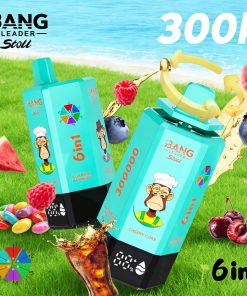 Bang Leader 300K 300000 Puffs 6 in 1 Flavors & 6 oil tanks Rechargeable LCD Display Disposable Vape EU Warehouse in bang leader 300k eu warehouse cherry