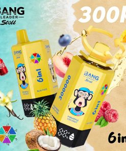 Bang Leader 300K 300000 Puffs 6 in 1 Flavors & 6 oil tanks Rechargeable LCD Display Disposable Vape EU Warehouse in bang leader 300k eu warehouse