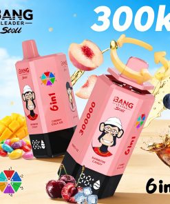 Bang Leader 300K 300000 Puffs 6 in 1 Flavors & 6 oil tanks Rechargeable LCD Display Disposable Vape EU Warehouse in bang leader 300k eu warehouse rainbow