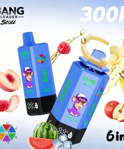 Bang Leader 300K 300000 Puffs 6 in 1 Flavors & 6 oil tanks Rechargeable LCD Display Disposable Vape EU Warehouse product detail image