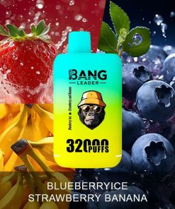 Bang Leader 32000 32k Puffs 0% 2% 3% 5% Nicotine Double Taste Disposable Vape in Blueberry Ice & Strawberry Banana flavor