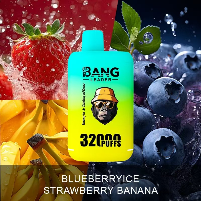 Bang Leader 32000 32k Puffs 0% 2% 3% 5% Nicotine Double Taste Disposable Vape in Blueberry Ice & Strawberry Banana flavor