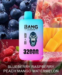 Bang Leader 32000 32k Puffs 0% 2% 3% 5% Nicotine Double Taste Disposable Vape in Blueberry Raspberry & Peach Mango Watermelon flavor