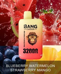 Bang Leader 32000 32k Puffs 0% 2% 3% 5% Nicotine Double Taste Disposable Vape in Blueberry Watermelon & Strawberry Mango flavor