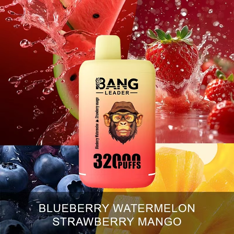 Bang Leader 32000 32k Puffs 0% 2% 3% 5% Nicotine Double Taste Disposable Vape in Blueberry Watermelon & Strawberry Mango flavor
