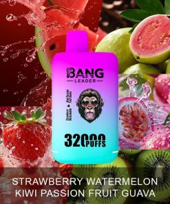 Bang Leader 32000 32k Puffs 0% 2% 3% 5% Nicotine Double Taste Disposable Vape in Random Mix flavor