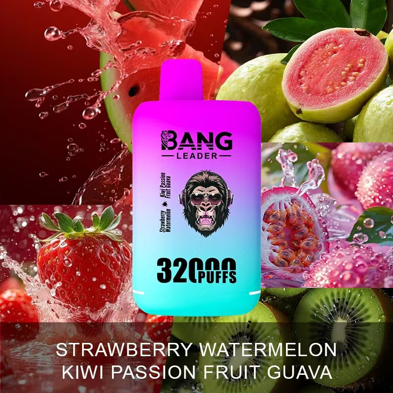 Bang Leader 32000 32k Puffs 0% 2% 3% 5% Nicotine Double Taste Disposable Vape in Random Mix flavor