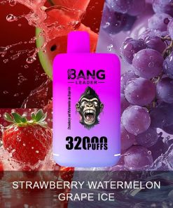 Bang Leader 32000 32k Puffs 0% 2% 3% 5% Nicotine Double Taste Disposable Vape in Strawberry Watermelon & Grape Ice flavor