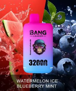 Bang Leader 32000 32k Puffs 0% 2% 3% 5% Nicotine Double Taste Disposable Vape in Watermelon Ice & Blueberry Mint flavor