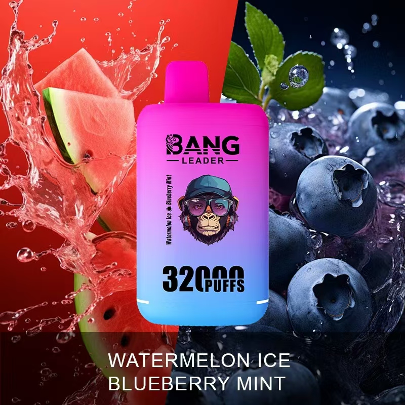 Bang Leader 32000 32k Puffs 0% 2% 3% 5% Nicotine Double Taste Disposable Vape in Watermelon Ice & Blueberry Mint flavor