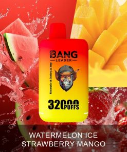 Bang Leader 32000 32k Puffs 0% 2% 3% 5% Nicotine Double Taste Disposable Vape in Watermelon Ice & Strawberry Mango flavor