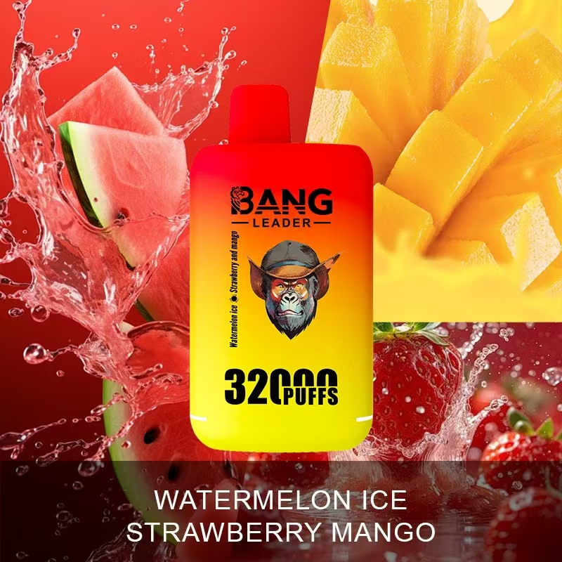 Bang Leader 32000 32k Puffs 0% 2% 3% 5% Nicotine Double Taste Disposable Vape in Watermelon Ice & Strawberry Mango flavor