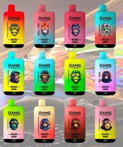 Bang Leader 45000 45K Puffs 2% 3% 5% Nicotine Double Taste LED Display Disposable Vape flavor options image