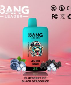 Bang Leader 45000 45K Puffs 2% 3% 5% Nicotine Double Taste LED Display Disposable Vape in Blueberry Ice & Black Dragon Ice flavor