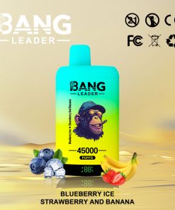 Bang Leader 45000 45K Puffs 2% 3% 5% Nicotine Double Taste LED Display Disposable Vape in Blueberry Ice & Strawberry and Banana flavor
