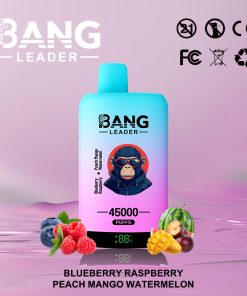 Bang Leader 45000 45K Puffs 2% 3% 5% Nicotine Double Taste LED Display Disposable Vape in Blueberry Raspberry & Peach Mango Watermelon flavor