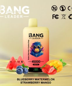 Bang Leader 45000 45K Puffs 2% 3% 5% Nicotine Double Taste LED Display Disposable Vape in Blueberry Watermelon & Strawberry Mango flavor