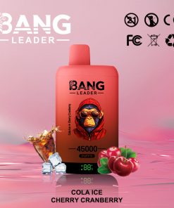 Bang Leader 45000 45K Puffs 2% 3% 5% Nicotine Double Taste LED Display Disposable Vape in Cola Ice & Cherry Cranberry flavor