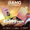 Immagine del prodotto: Bang Leader 45000 (45.000 boccate) 2%, 3%, 5%, doppia concentrazione di nicotina, display LED, sigaretta elettronica usa e getta