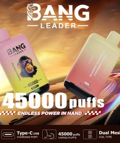 Bang Leader 45000 45K Puffs 2% 3% 5% Nicotine Double Taste LED Display Disposable Vape product image