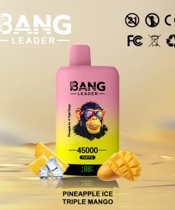 Bang Leader 45000 45K Puffs 2% 3% 5% Nicotine Double Taste LED Display Disposable Vape in Pineapple Ice & Triple Mango flavor