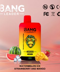Bang Leader 45000 45K Puffs 2% 3% 5% Nicotine Double Taste LED Display Disposable Vape random flavor option image