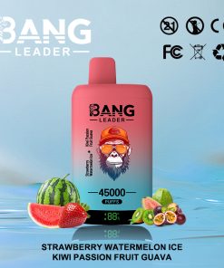 Bang Leader 45000 45K Puffs 2% 3% 5% Nicotine Double Taste LED Display Disposable Vape in Strawberry Watermelon & Kiwi Passion Fruit Guava flavor
