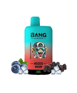 Bang Leader 45000 45K Puffs Double Taste LED Display Rechargeable Disposable Vape EU Warehouse in Blueberry Ice & Black Dragon Ice flavor