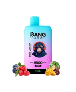Bang Leader 45000 45K Puffs Double Taste LED Display Rechargeable Disposable Vape EU Warehouse in Blueberry Raspberry & Peach Mango Watermelon flavor