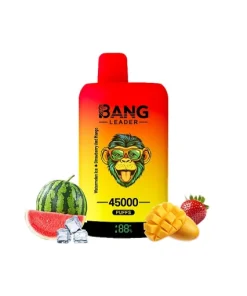 Bang Leader 45000 45K Puffs Double Taste LED Display Rechargeable Disposable Vape EU Warehouse in Blueberry Watermelon & Strawberry Mango flavor