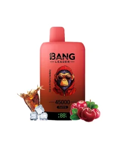 Bang Leader 45000 45K Puffs Double Taste LED Display Rechargeable Disposable Vape EU Warehouse in Cola Ice & Cherry Cranberry flavor