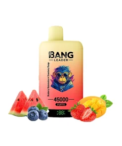 Bang Leader 45000 45K Puffs Double Taste LED Display Rechargeable Disposable Vape EU Warehouse in eu bang leader 45000 45k blueberry watermelon strawberry