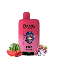 Bang Leader 45000 45K Puffs Double Taste LED Display Rechargeable Disposable Vape EU Warehouse in eu bang leader 45000 45k strawberry watermelon grape ice