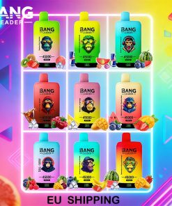 Bang Leader 45000 45K Puffs Double Taste LED Display Rechargeable Disposable Vape EU Warehouse product image