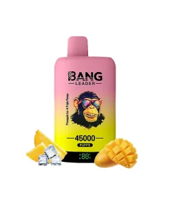 Bang Leader 45000 45K Puffs Double Taste LED Display Rechargeable Disposable Vape EU Warehouse in Pineapple Ice & Triple Mango flavor