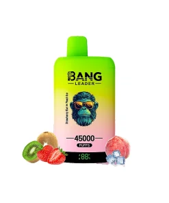 Bang Leader 45000 45K Puffs Double Taste LED Display Rechargeable Disposable Vape EU Warehouse in Strawberry Kiwi & Peach Ice flavor
